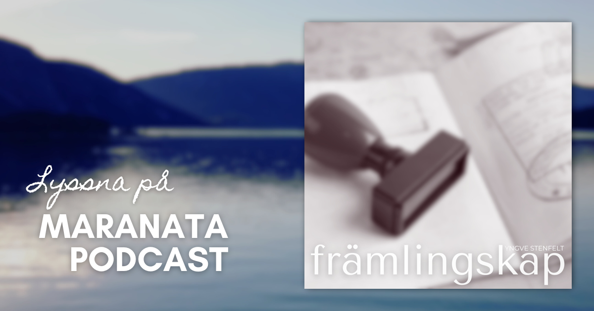 Främlingskap | Yngve Stenfelt